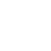 Siec